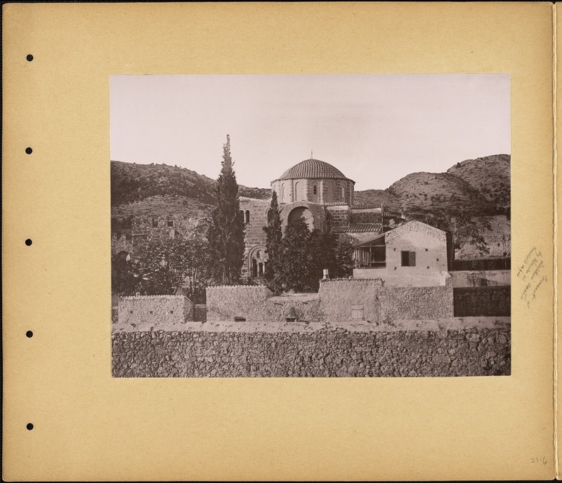 Col-0000-183 #2.jpg
